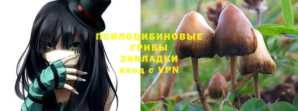 метадон Алзамай