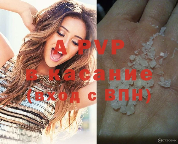 СК Абаза