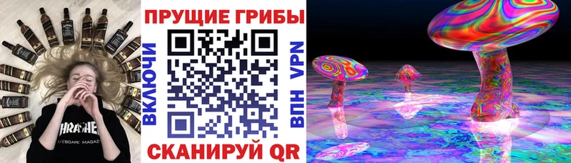 кракен зеркало Новопавловск дарк нет какой сайт Галлюциногенные грибы Cubensis